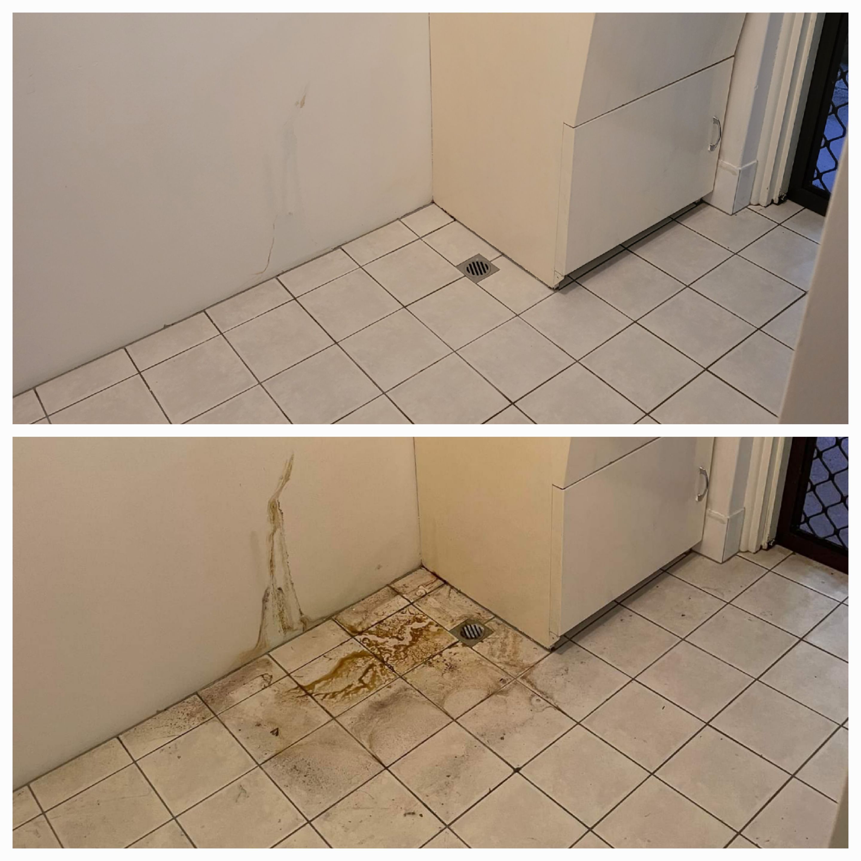 SuperbCleaning-13