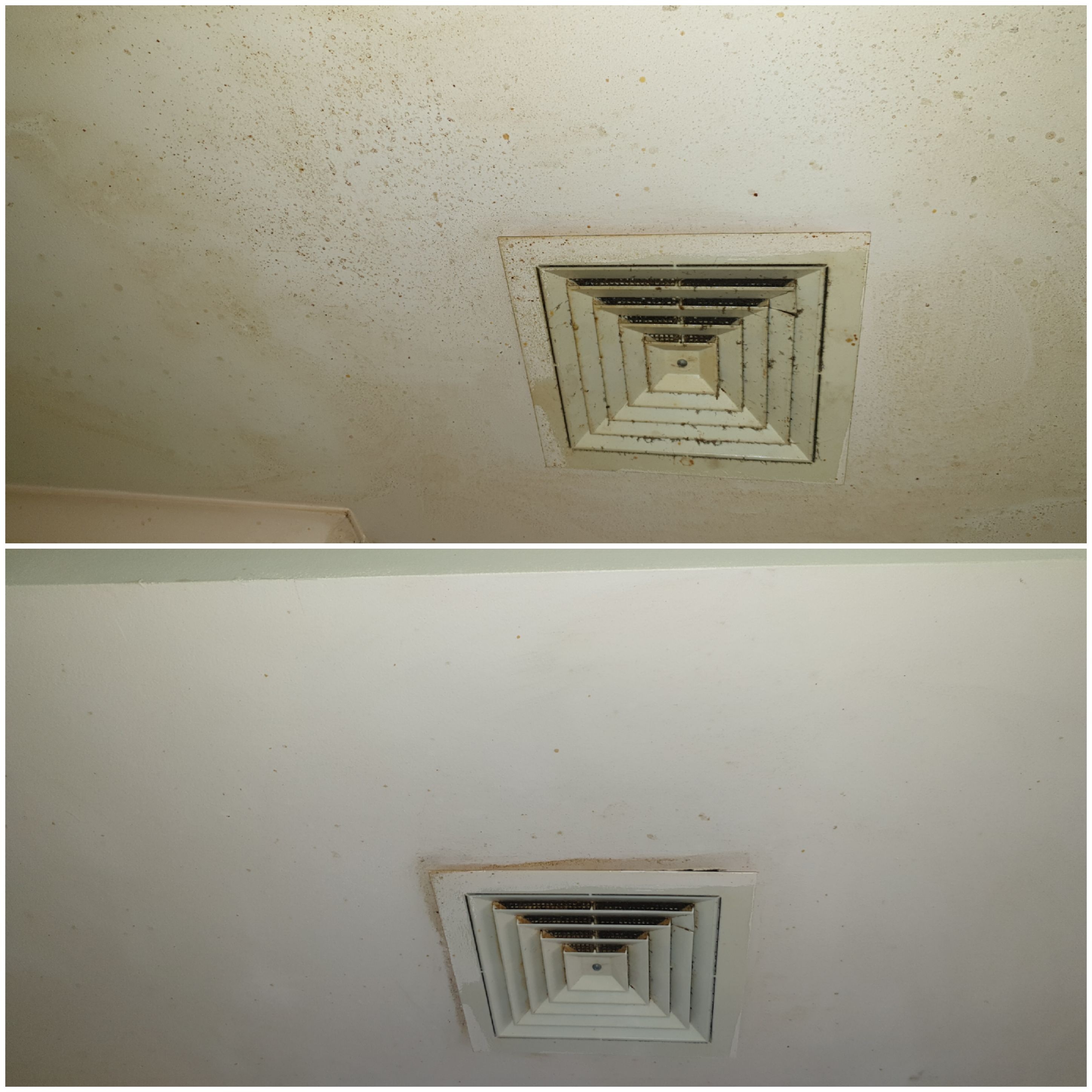 SuperbCleaning-4