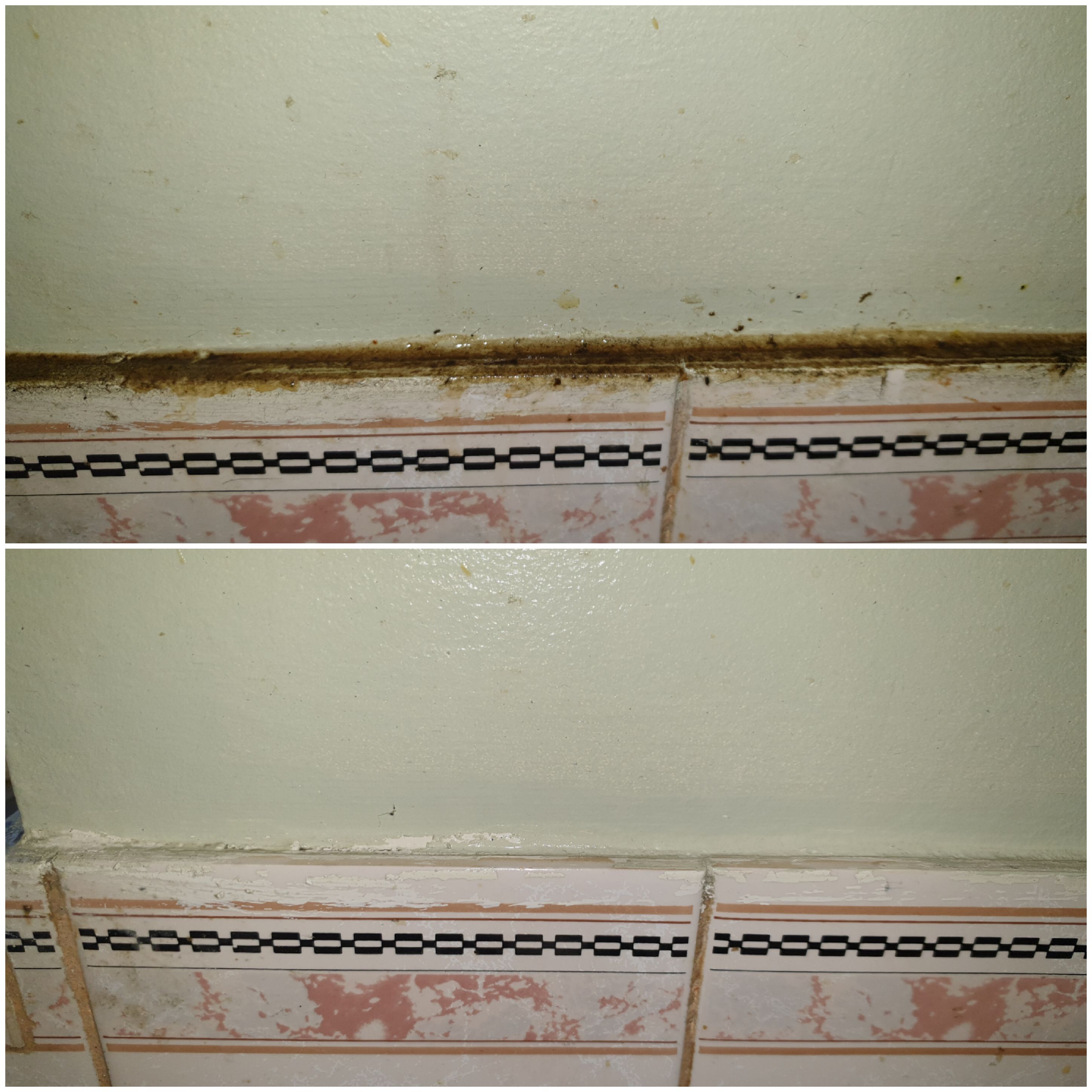 SuperbCleaning-8